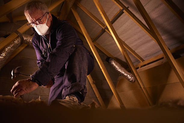 Best Best Insulation Companies  in Whitg, IN